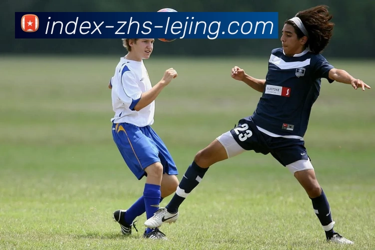 乐竞体育平台生态图